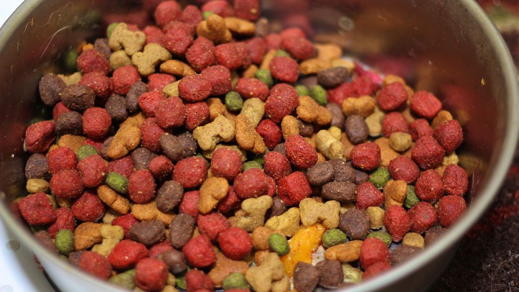 Interpreting Pet Food Ingredients The Ontario Dog Trainer