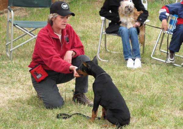 Karen teaching during a dog training program at Ontario Dog Trainer