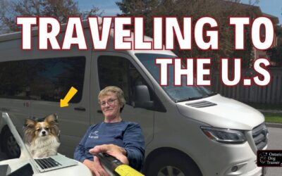 Traveling Cross Country With a Dog to the US (I’m Canadian!)