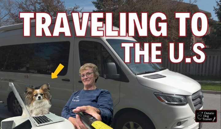 Traveling Cross Country With a Dog to the US (I’m Canadian!)