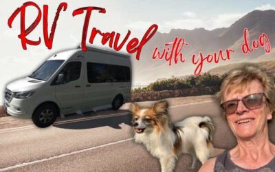 RV Travel with Dogs: Your Checklist Guide