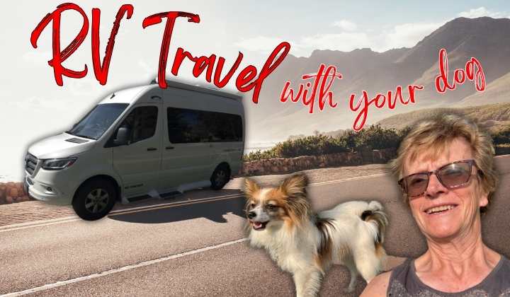 RV Travel with Dogs: Your Checklist Guide