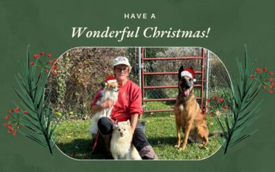 Happy Holidays from The Ontario Dog Trainer