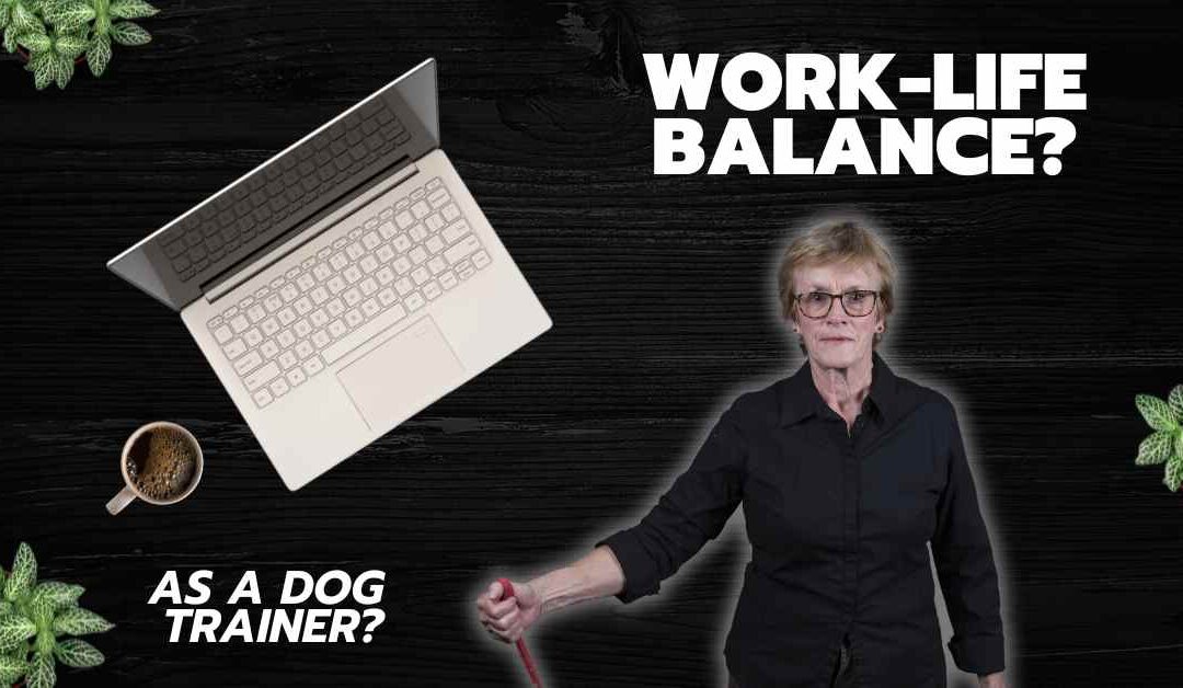 Achieving Work-Life Balance in Your Dog Training Business