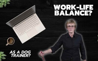 Achieving Work-Life Balance in Your Dog Training Business