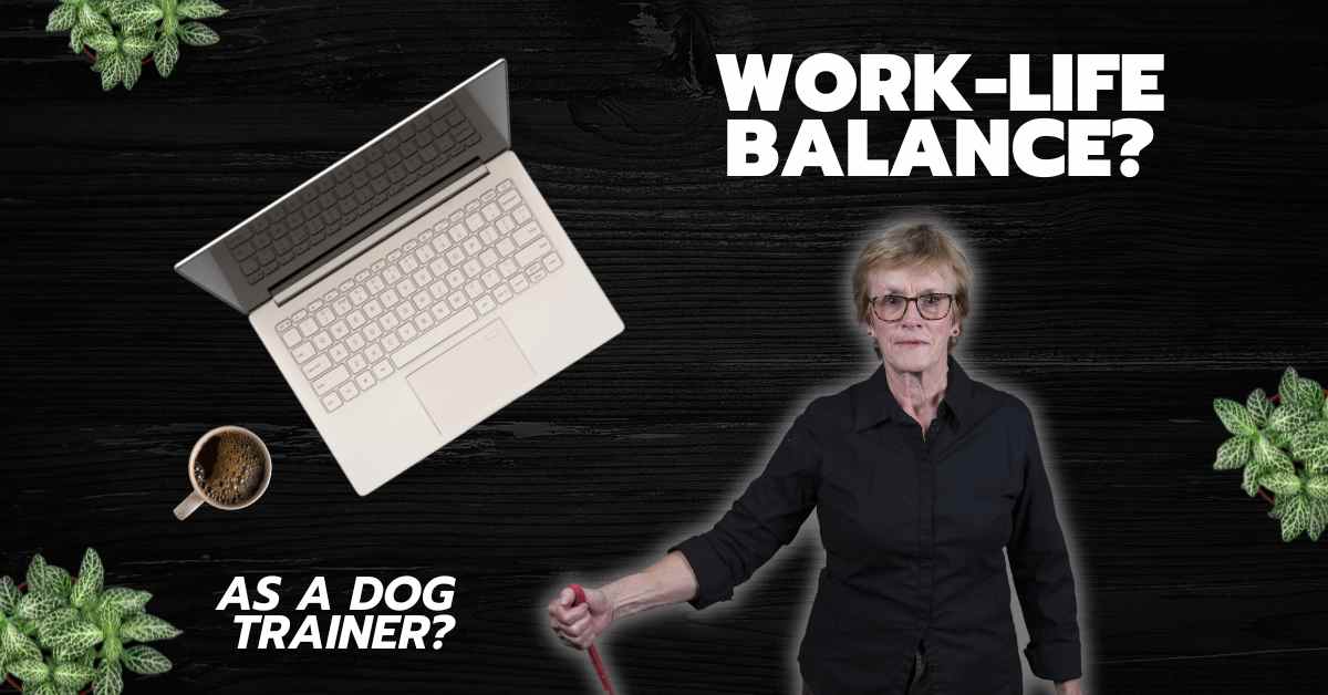 Achieving Work-Life Balance in Your Dog Training Business - Ontario Dog ...