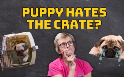 Crate Training a Puppy When Your Puppy Hates the Crate