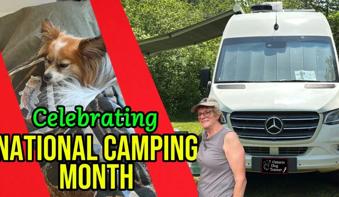 RV Life for Dog Owners: Travel, Work, and Camp With My Dog