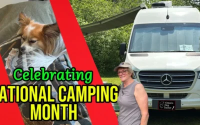 RV Life for Dog Owners: Travel, Work, and Camp With My Dog