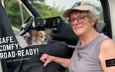 How I Set Up a Safe and Comfy RV Trip With My Dog
