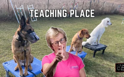 Teaching the Place Command: A Real-Life Guide for Real-Life Dogs