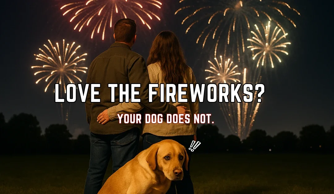 How to Calm a Dog During Fireworks