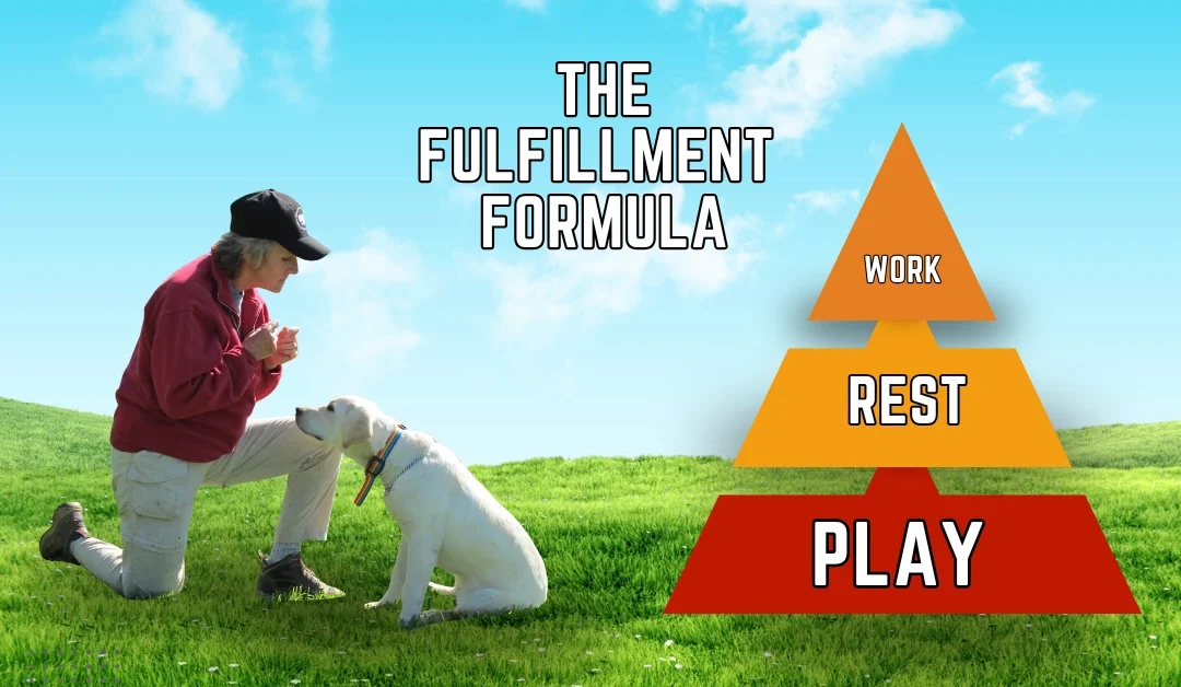 Proper Dog Routine: The Work-Rest-Play Formula 