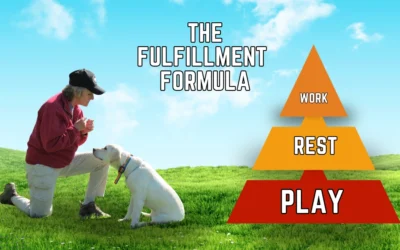 Proper Dog Routine: The Work-Rest-Play Formula 