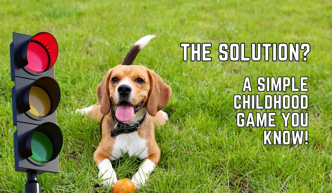 Traffic Light Game to Stop Your Dog From Jumping 