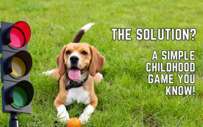 Traffic Light Game to Stop Your Dog From Jumping 