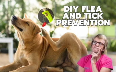 DIY Flea and Tick Prevention for Dogs