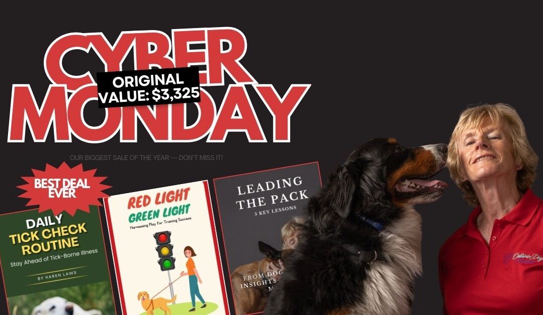 A Clear Path to a Calmer Dog: Cyber Monday Special