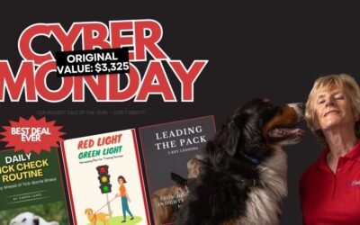 A Clear Path to a Calmer Dog: Cyber Monday Special
