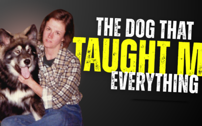 The Dog That Taught Me Everything About Fulfillment