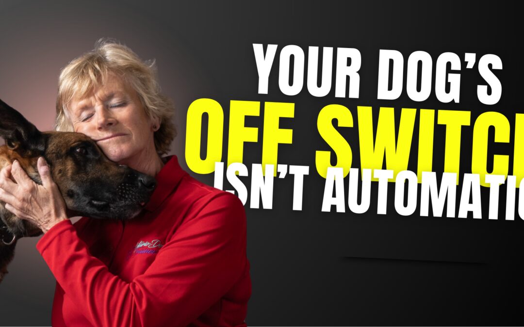 Your Dog’s ‘Off’ Switch is Built, Not Born