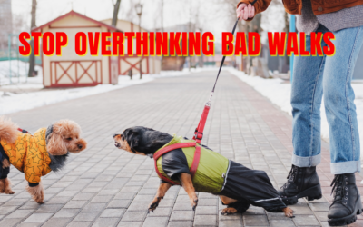 How to Recover After a Bad Walk Without Losing Confidence
