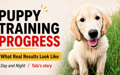 Puppy Training Progress: What Real Results Look Like, Day and Night (Tala’s story)