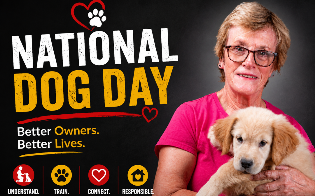National Dog Day: Celebrating Dogs by Becoming Better Owners