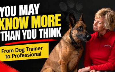 You May Know More Than You Think: When Are You Ready to Become a Professional Dog Trainer?