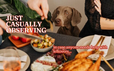 Canadian Thanksgiving Dog Training Tips: 5 Ways to Prepare Your Dog for Guests